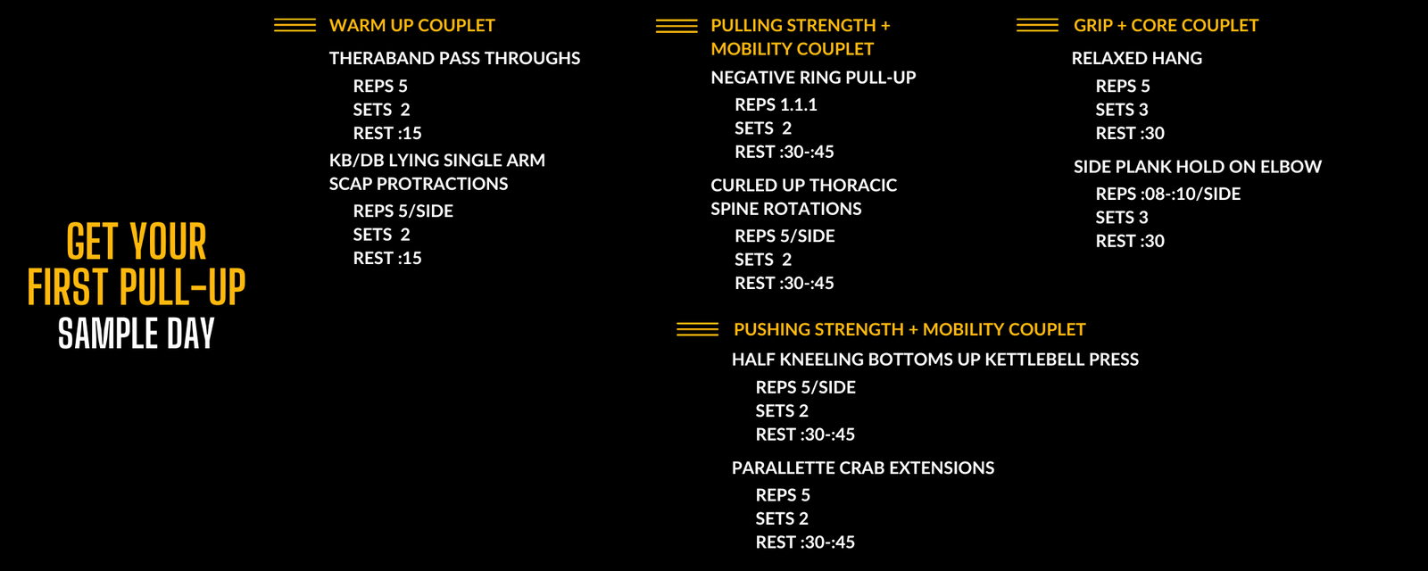Image of the Get Your First Pull Up Sample Day of programming from the Power Monkey Training App. 