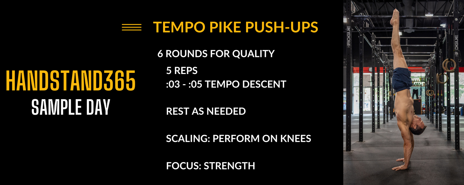 text of a sample day of power monkey training handstand 365 daily programming from the power monkey training app