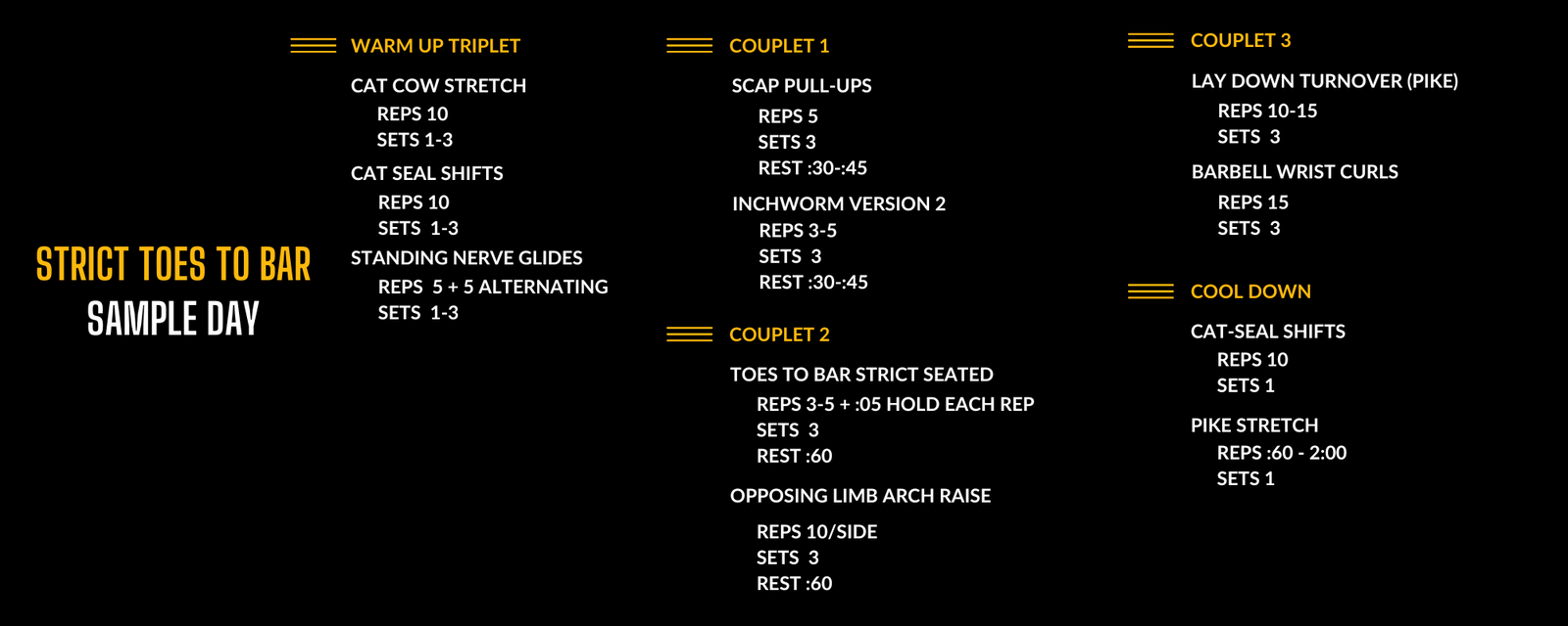 Sample Day of the Strict Toes to Bar Program in the Power Monkey Training App.