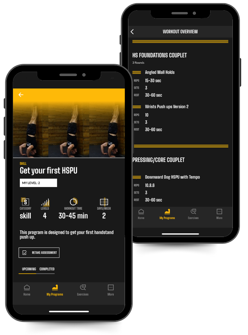 Phone image of the get your first handstand pushup plan in the power monkey training app.