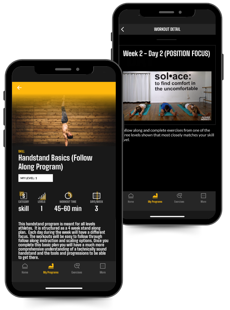 Phone Screen image of the Handstand Basics Follow along program in the Power Monkey Training app.