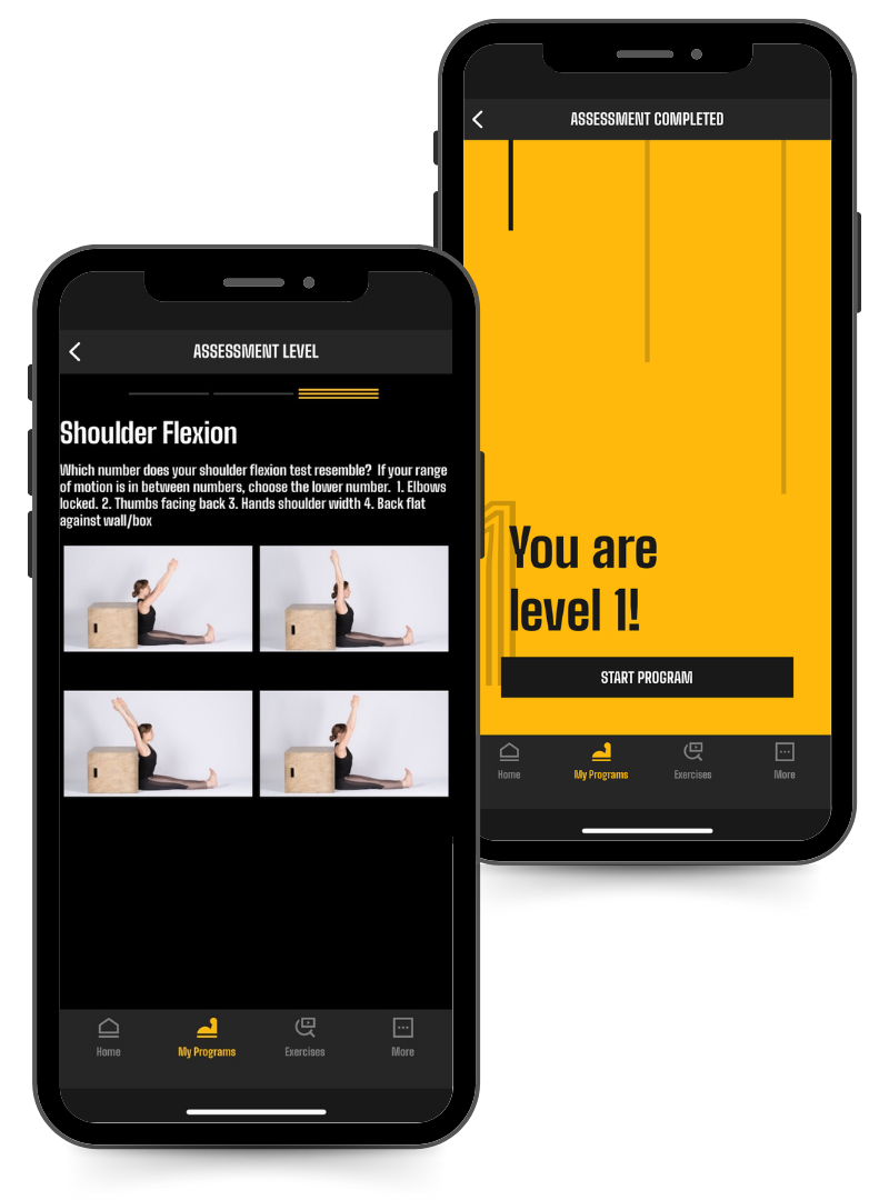 Phone image of the power monkey training get your first pull-up assessment and levels.