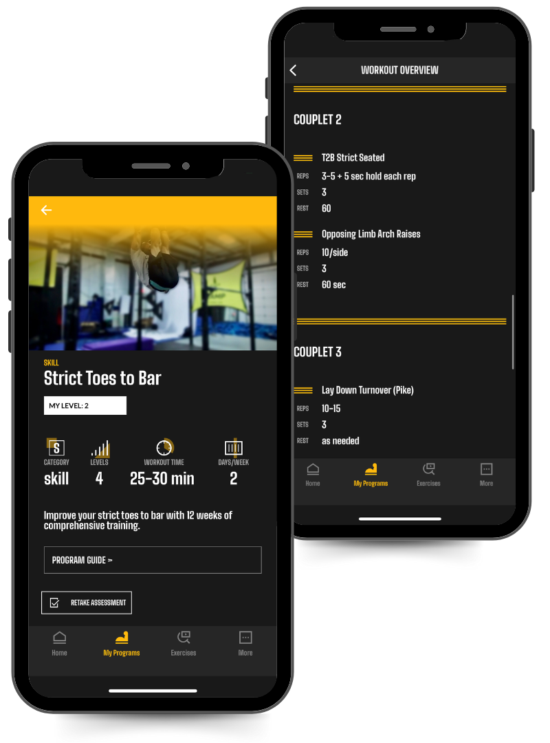 Phone image of the Strict Toes to Bar Plan in the Power Monkey Training app.